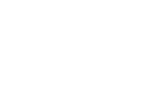 Ambaji Temple Outline